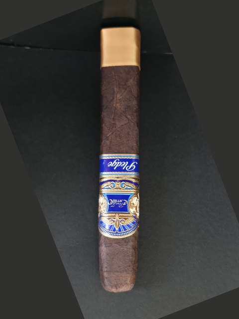 E.P. Carrillo Pledge Apogee
