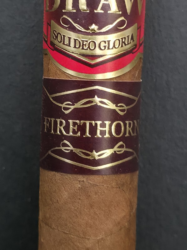 Southern Draw Firethorn Toro